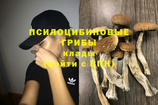 МДПВ Алзамай