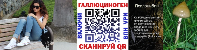 Галлюциногенные грибы мицелий  мега   Щёлкино  купить закладку 